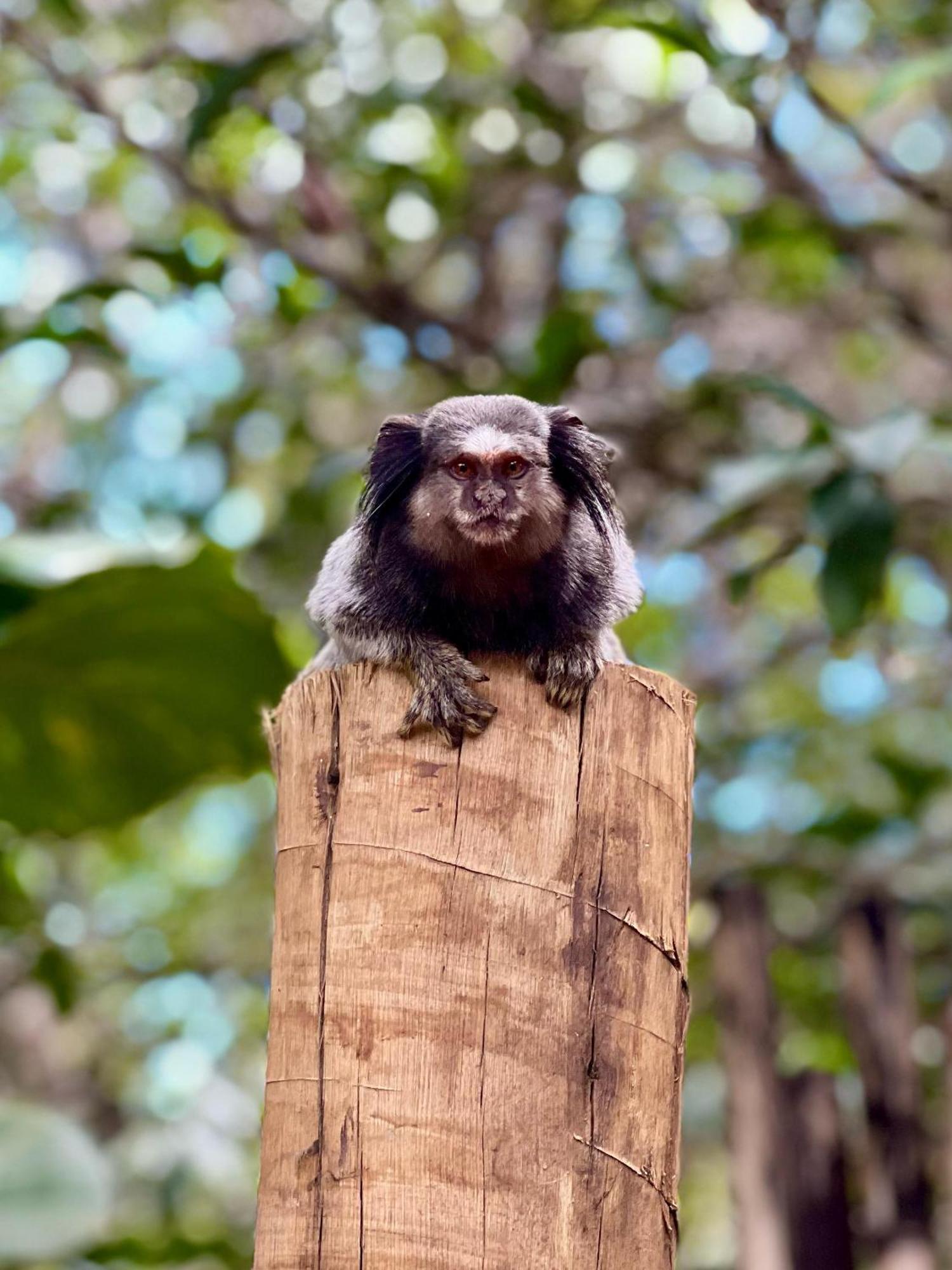 Pousada Canto Feliz Serra do Cipo National Park Экстерьер фото